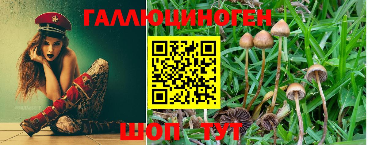 Галлюциногенные грибы ЛСД Серов