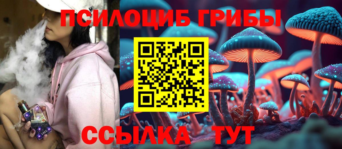 Серов  Псилоцибиновые грибы MAGIC MUSHROOMS  Вход с VPN 